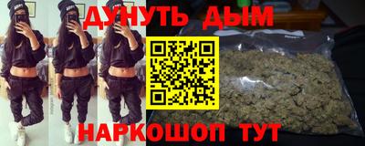 гидропоника Будённовск