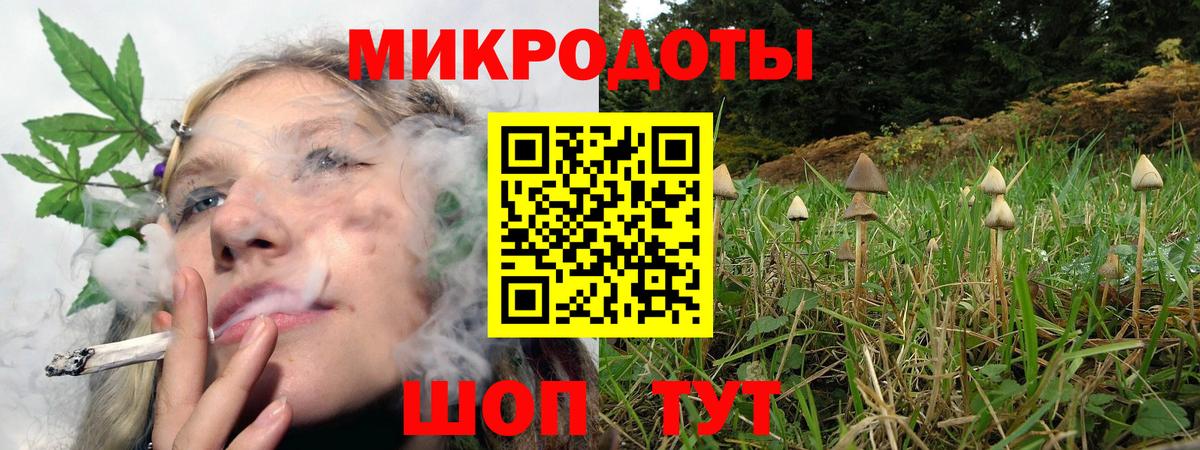 Псилоцибиновые грибы GOLDEN TEACHER  Вход с VPN  Рославль 
